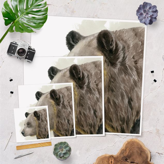 Plakaty ze zwierzętami Przyjaciele z lasu - Niedźwiedź