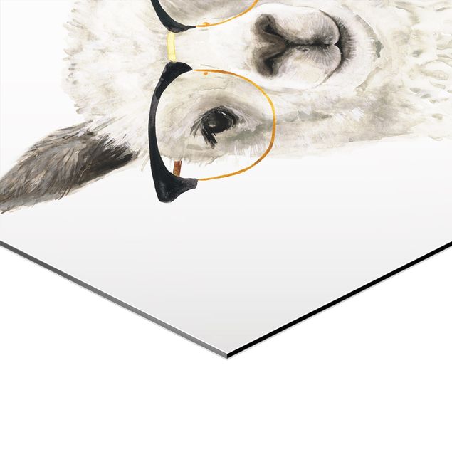 Obraz heksagonalny z Alu-Dibond 3-częściowy - Hippy Llamas z zestawem okularów I