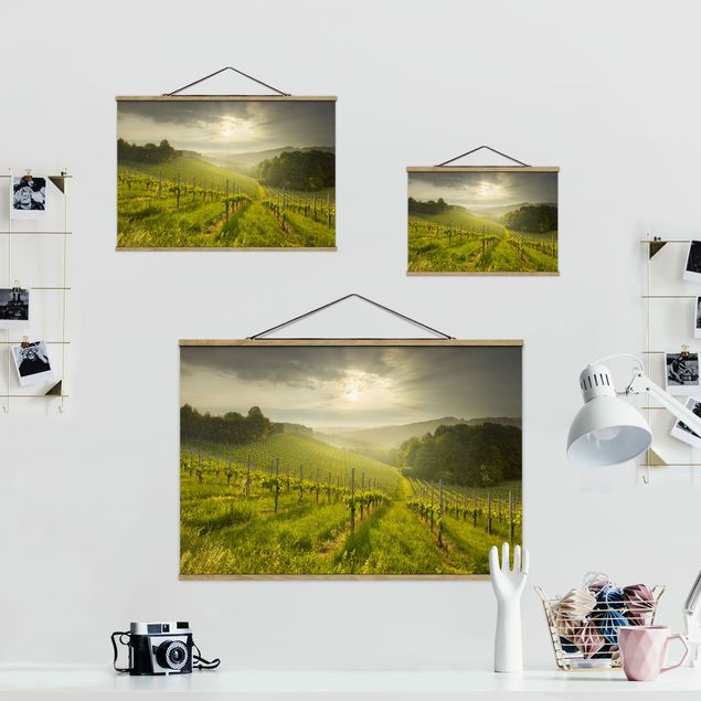 Obrazy na ścianę krajobrazy Winnica Promyki Słońca