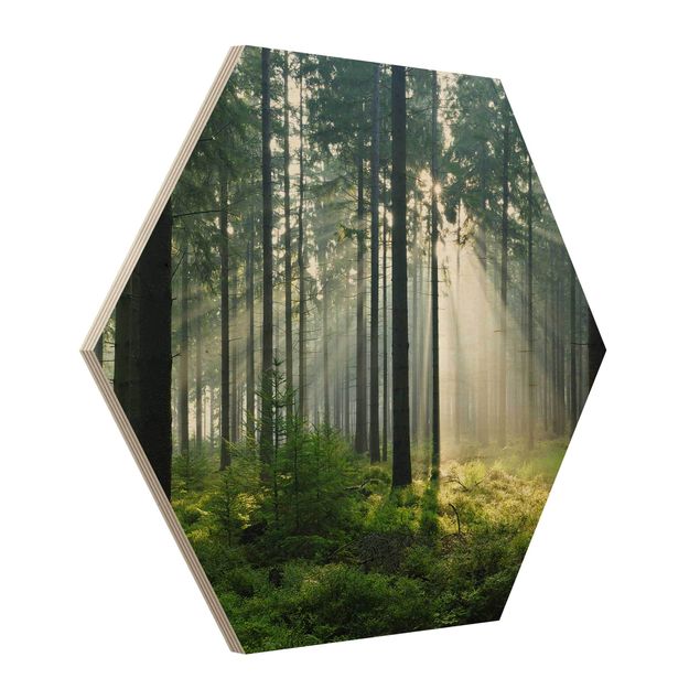 Obraz heksagonalny z drewna - Świetlany las
