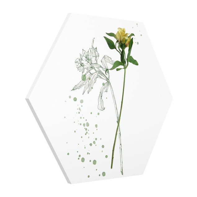Obrazy z motywem kwiatowym Akwarela botaniczna - Lilia