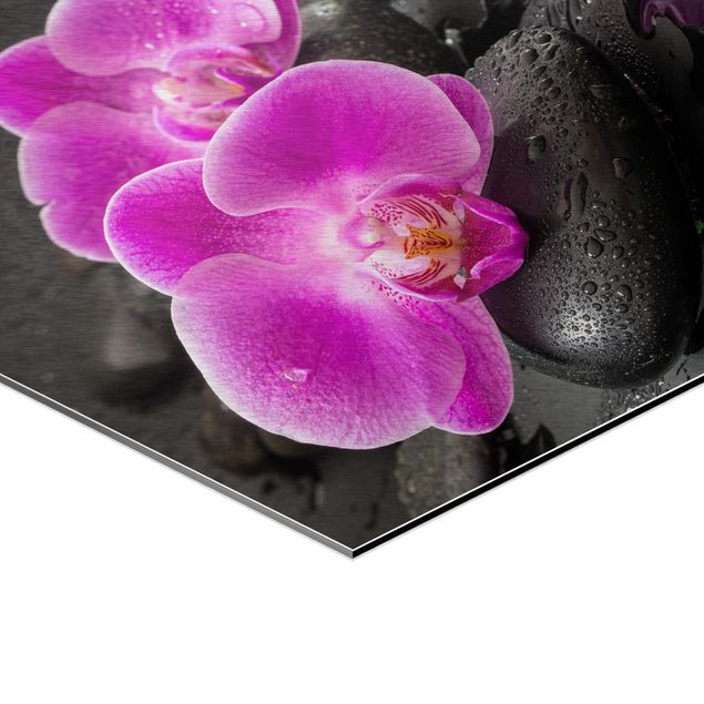 Uwe Merkel obrazy Kwiaty różowej orchidei na kamieniach z kroplami