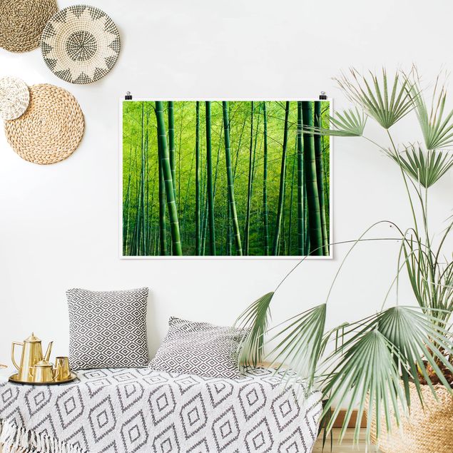 Obrazy do salonu nowoczesne Las bambusowy