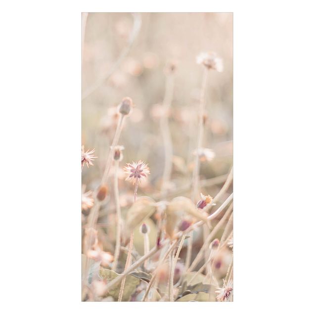 Tylna ścianka prysznicowa - Flowering Meadow In the Sun
