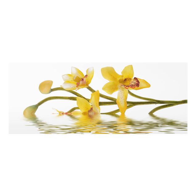 Panel szklany do kuchni - Saffron Orchid Waters