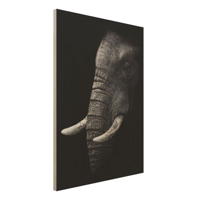 Obrazy na ścianę Portret ciemnego słonia