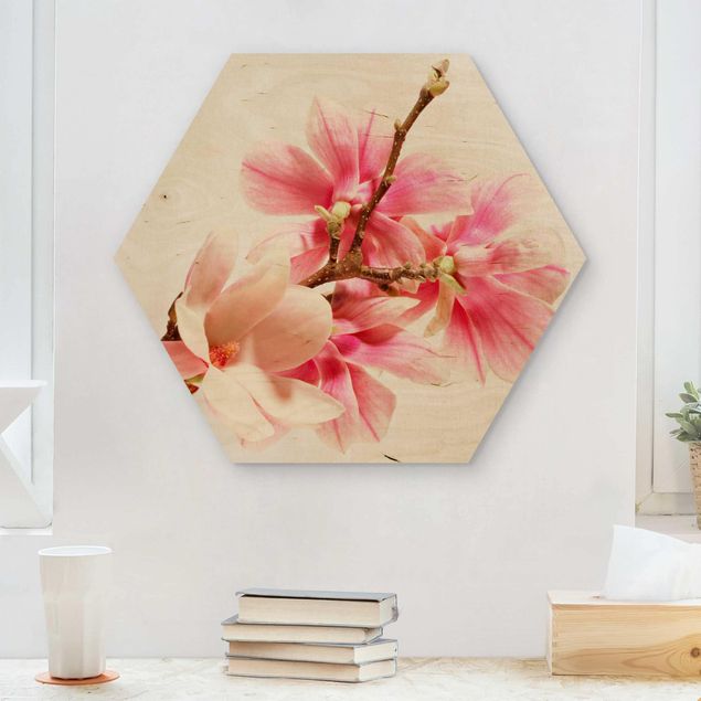 Obrazy Kwiaty magnolii