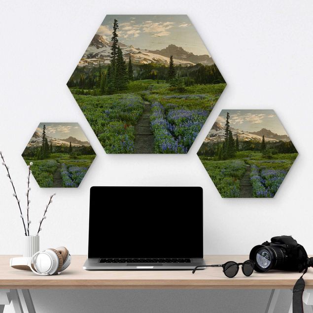 Obraz heksagonalny z drewna - Ścieżka łąkowa z widokiem na góry
