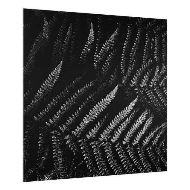 Panel szklany do kuchni - czarno-biały paproć botaniczna
