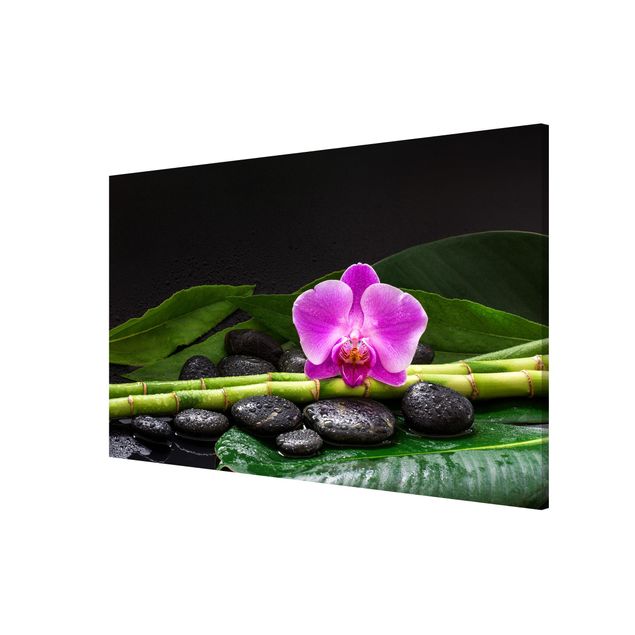 Obrazy do salonu nowoczesne Zielony bambus z kwiatem orchidei