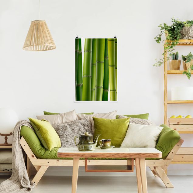 Nowoczesne obrazy do salonu Rośliny bambusowe