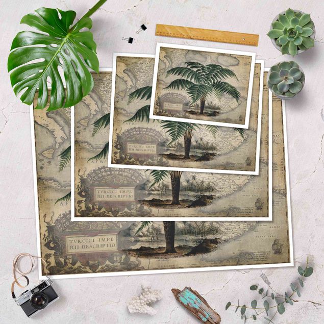 Obrazy kwiatowe Kolaż w stylu vintage - drzewo palmowe i mapa świata