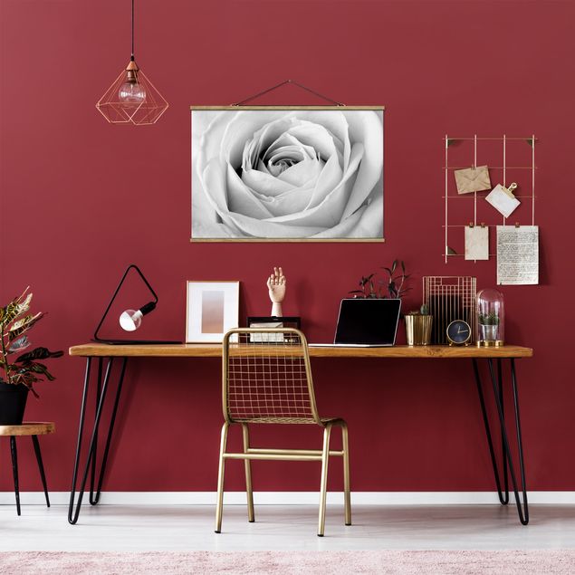 Obrazy nowoczesny Róża z bliska
