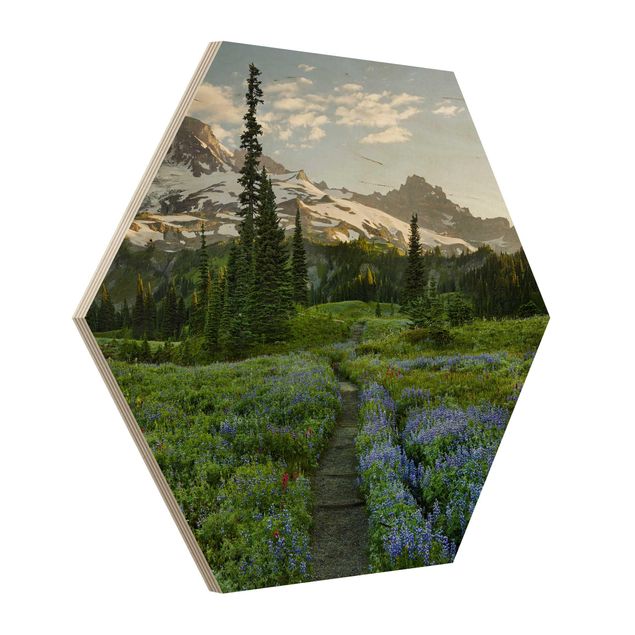 Obrazy z drewna Ścieżka łąkowa z widokiem na góry