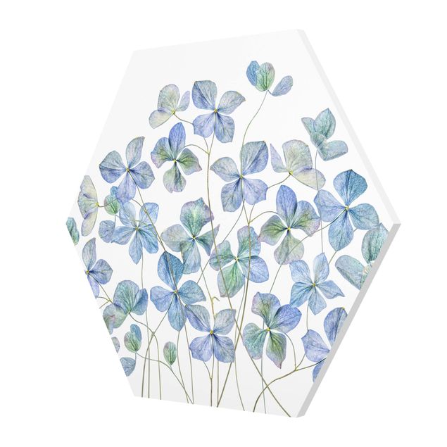 Obrazy na ścianę Błękitne kwiaty hortensji