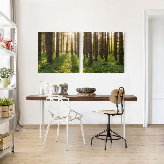 Obrazy do salonu Promienie słońca w zielonym lesie