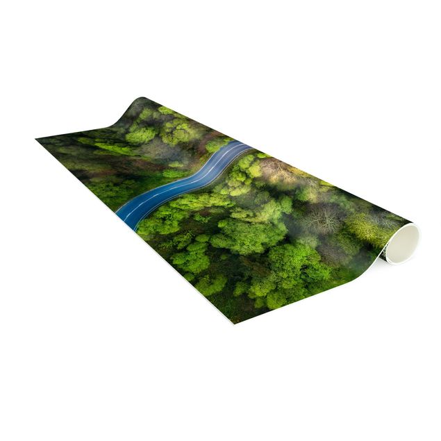 dywan nowoczesny Zdjęcie lotnicze - Droga asfaltowa w lesie