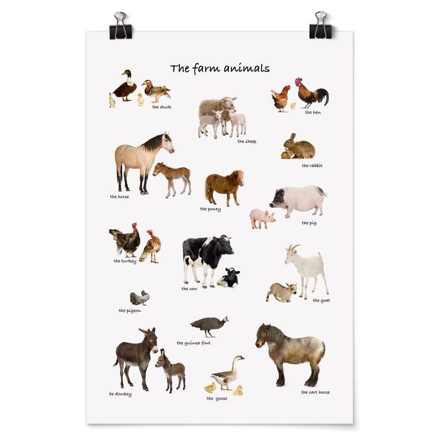 Obrazy powiedzenia Zwierzęta hodowlane
