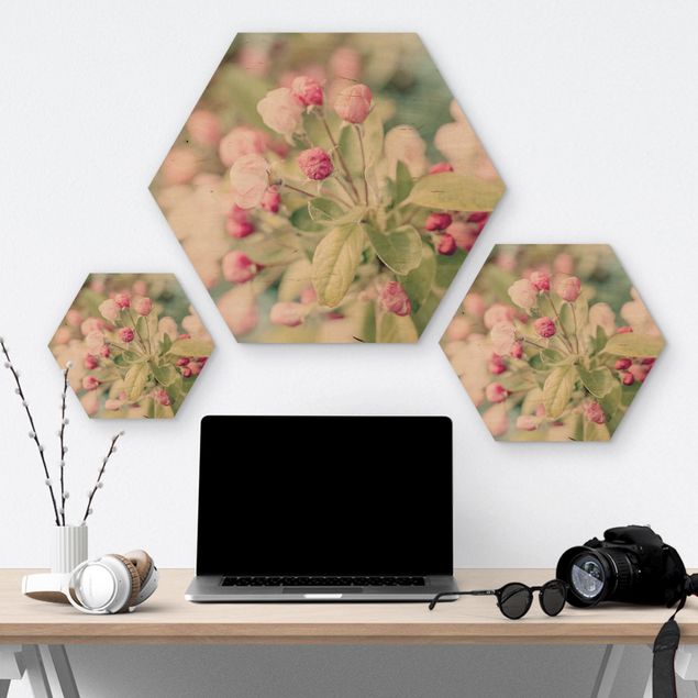 Obrazy z drewna Kwiat jabłoni bokeh różowy