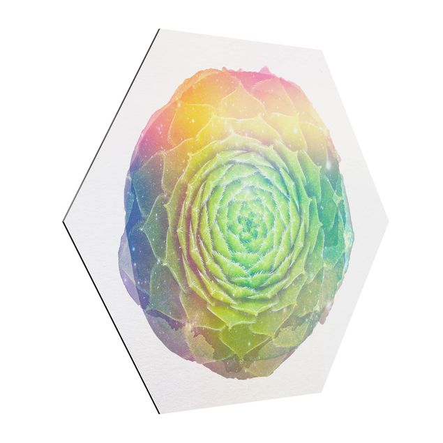 Obrazy nowoczesne Akwarele - Mandala sukulent