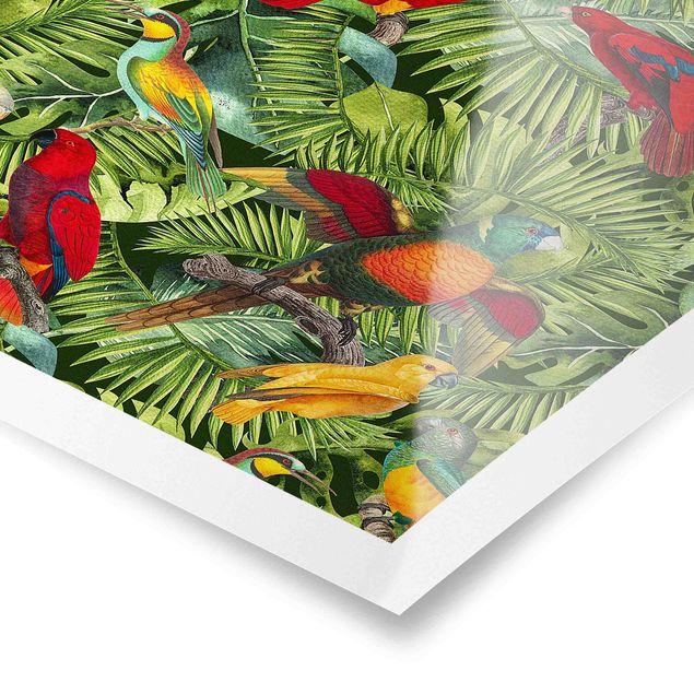 Kolorowe obrazy Kolorowy kolaż - Papugi w dżungli