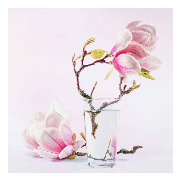 Obrazy kwiatowe Magnolia w szklance