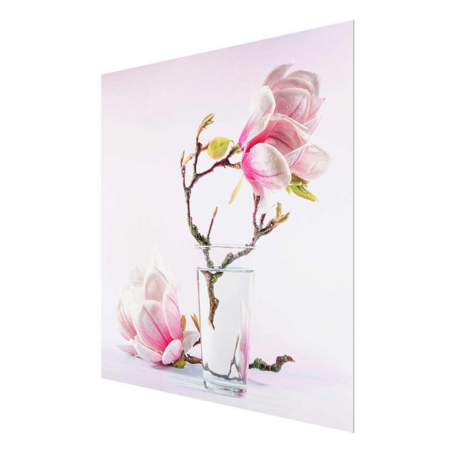 Obrazy na ścianę Magnolia w szklance