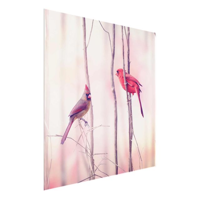 Obrazy do salonu nowoczesne Ptaki na gałęziach