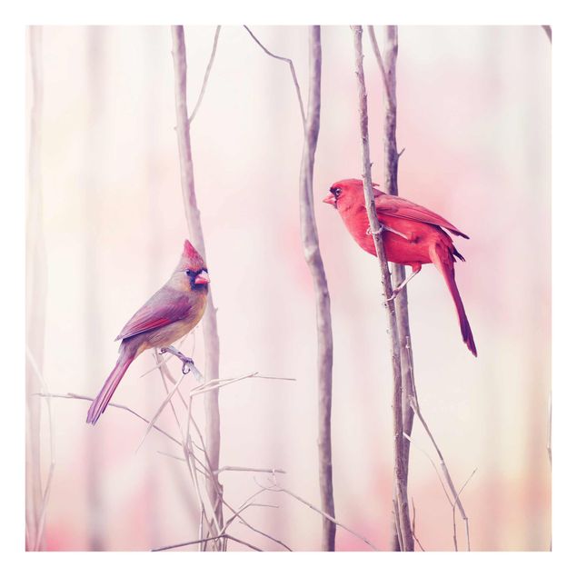 Nowoczesne obrazy Ptaki na gałęziach