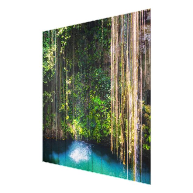 Obrazy na szkle artyści Wiszące korzenie Cenote Ik-Kil