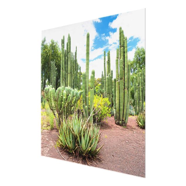 Obrazy na szkle artyści Krajobraz z kaktusami