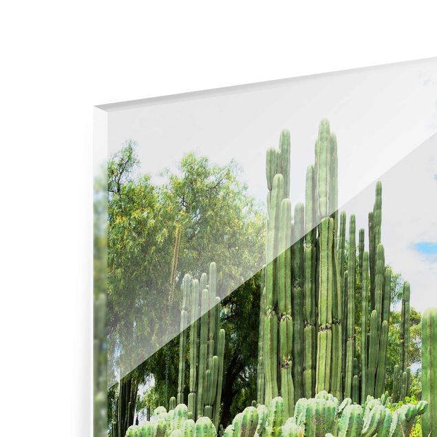 Obrazy na szkle krajobraz Krajobraz z kaktusami