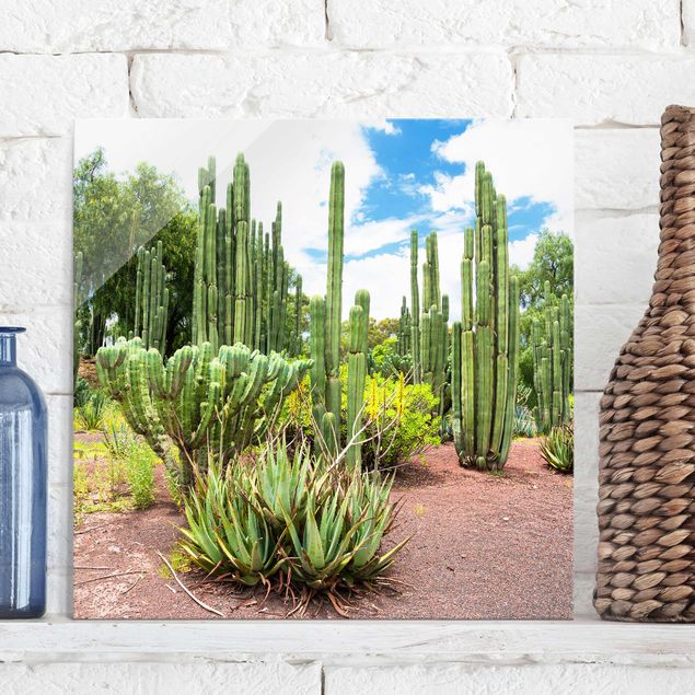 Obrazy nowoczesne Krajobraz z kaktusami