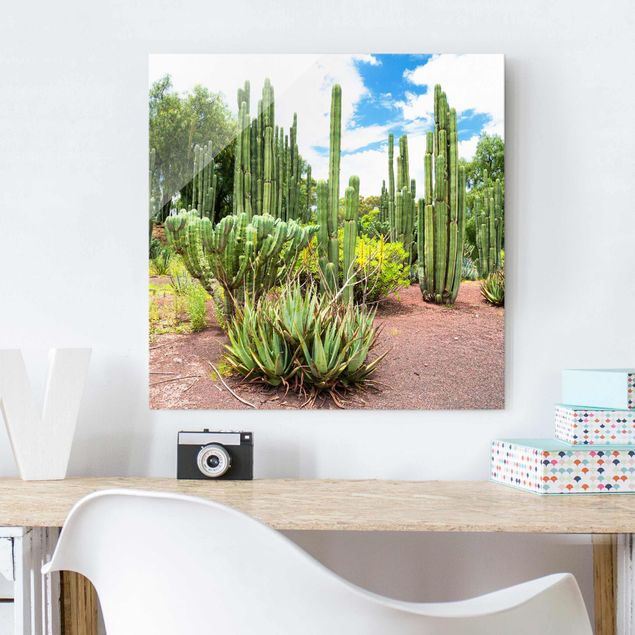 Obrazy krajobraz Krajobraz z kaktusami