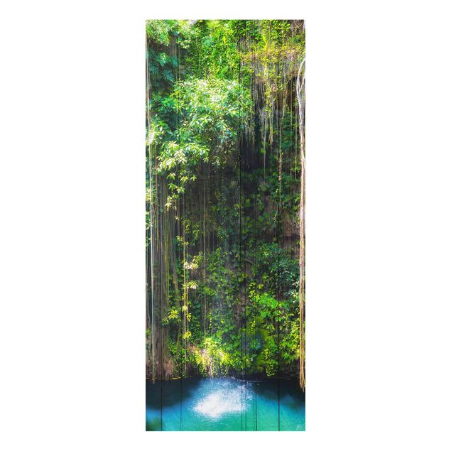 Obrazy na szkle portret Wiszące korzenie Cenote Ik-Kil