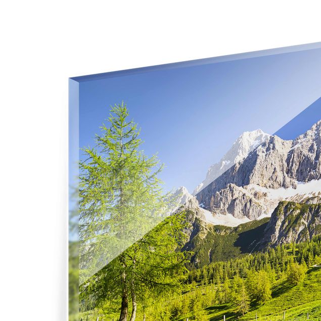 Obrazy góry Styria Alpejska łąka