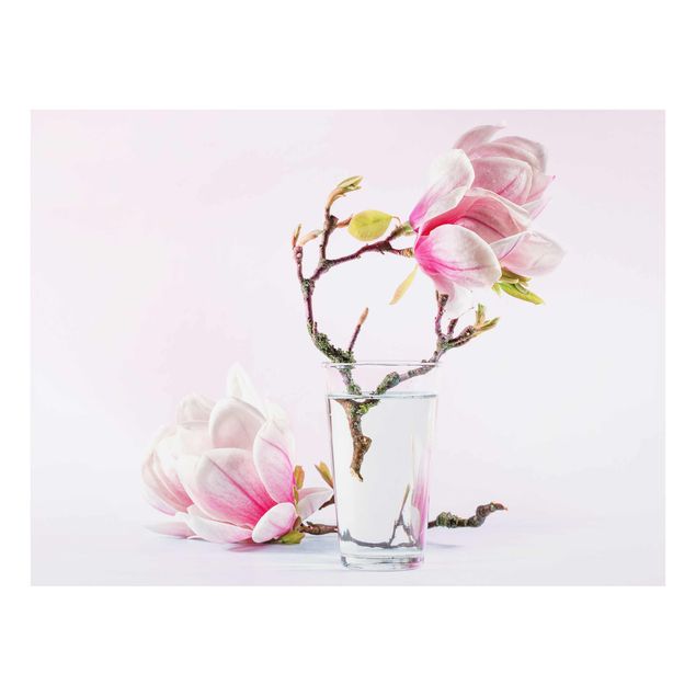Obrazy kwiatowe Magnolia w szklance