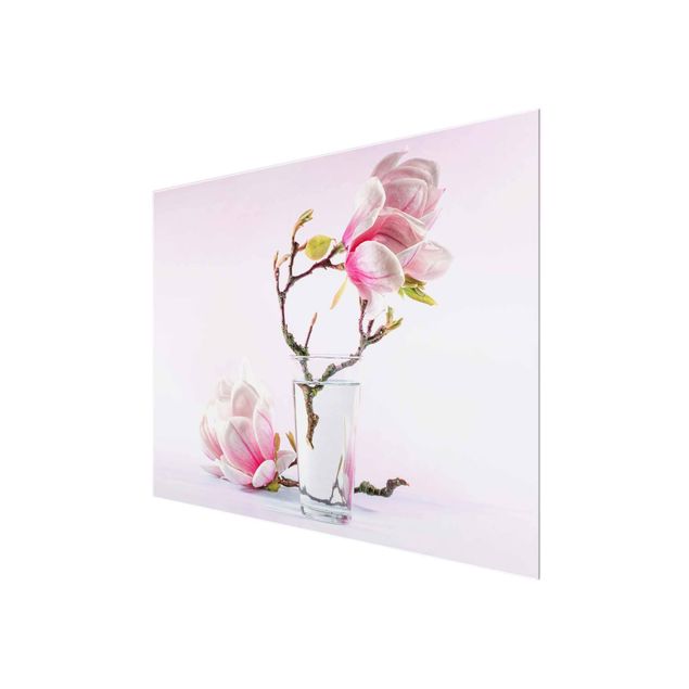 Obrazy na ścianę Magnolia w szklance