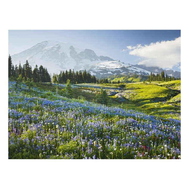 Nowoczesne obrazy do salonu Mountain Meadow With Blue Flowers in Front of Mt. Rainier
