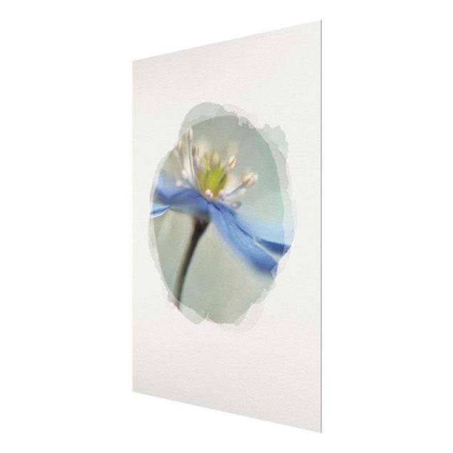 Obrazy z motywem kwiatowym Akwarele - Tańczące anemony