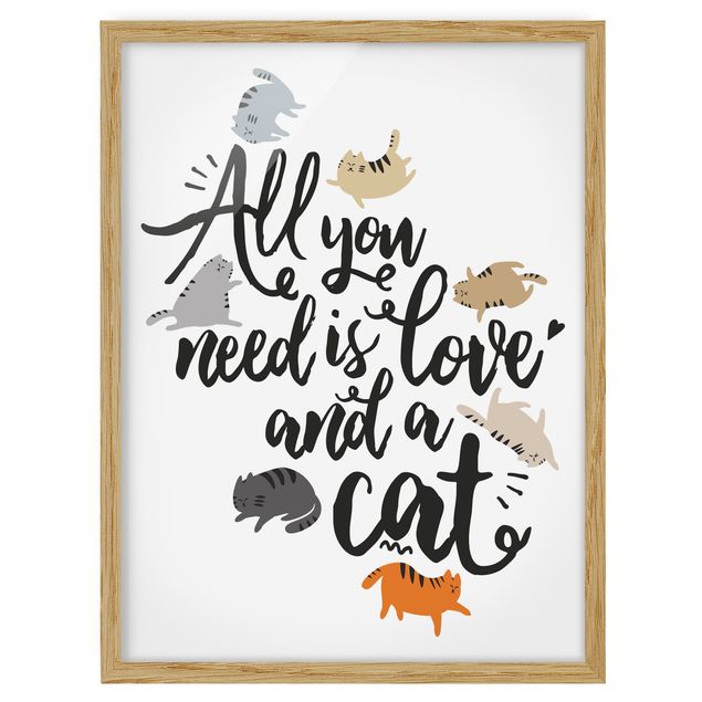 Obrazy koty Wszystko, czego potrzebujesz, to miłość i kot