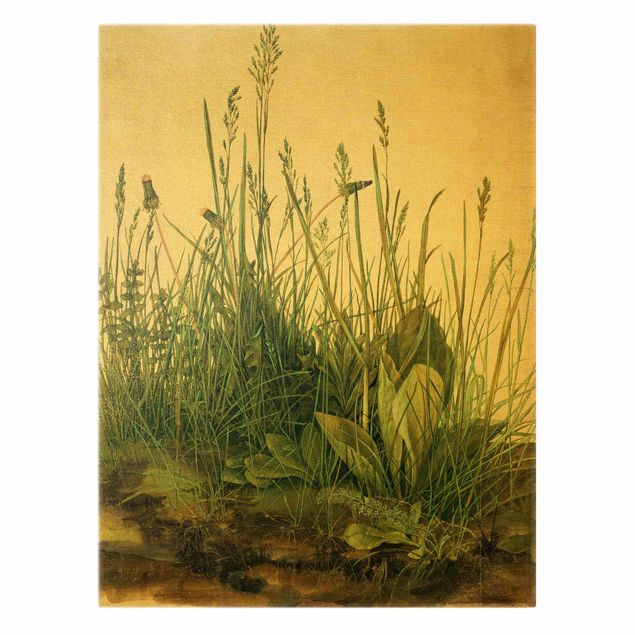 Obrazy retro Albrecht Dürer - Wielki kawałek trawy
