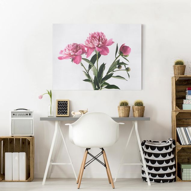 Obrazy do salonu Kwiaty i pąki różowe na białym tle