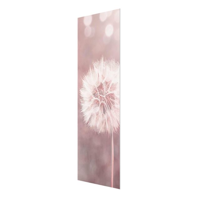 Obraz różowy dandelion bokeh różowy