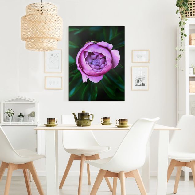 Obrazy do salonu nowoczesne Purpurowy kwiat piwonii na tle liści