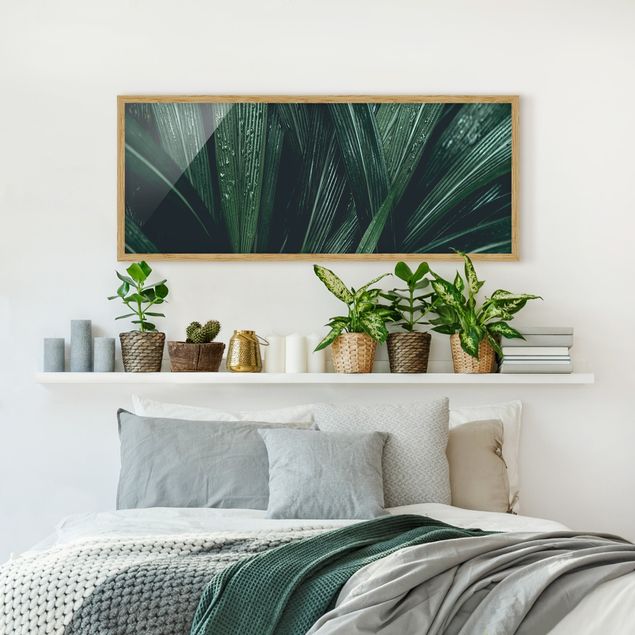 Obrazy w ramie do łazienki Zielone liście palmy