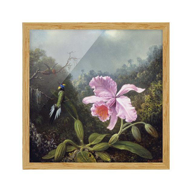 Obrazy w ramie do korytarzu Martin Johnson Heade - Martwa natura z orchideą i dwoma kolibrami