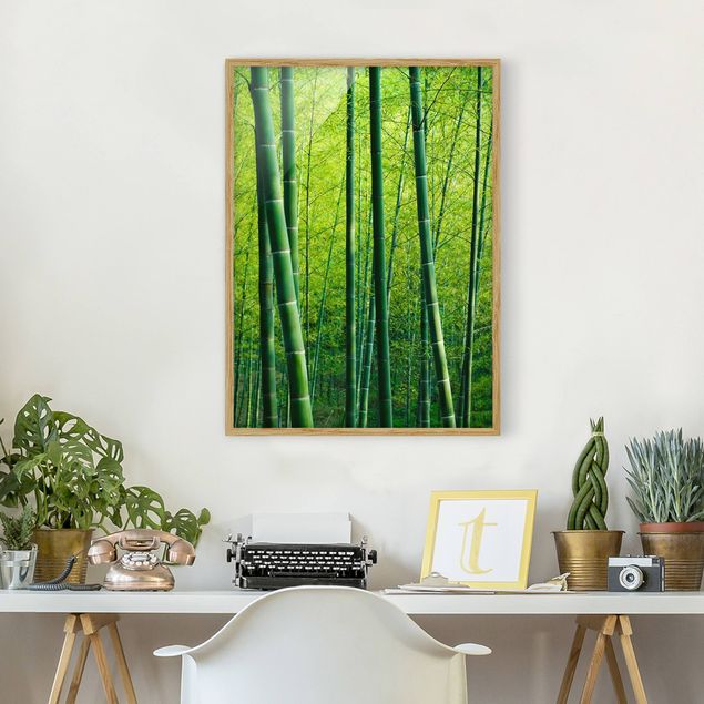 Obrazy w ramie do korytarzu Las bambusowy