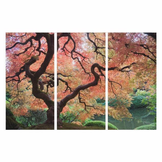 Obrazy krajobraz Ogród japoński