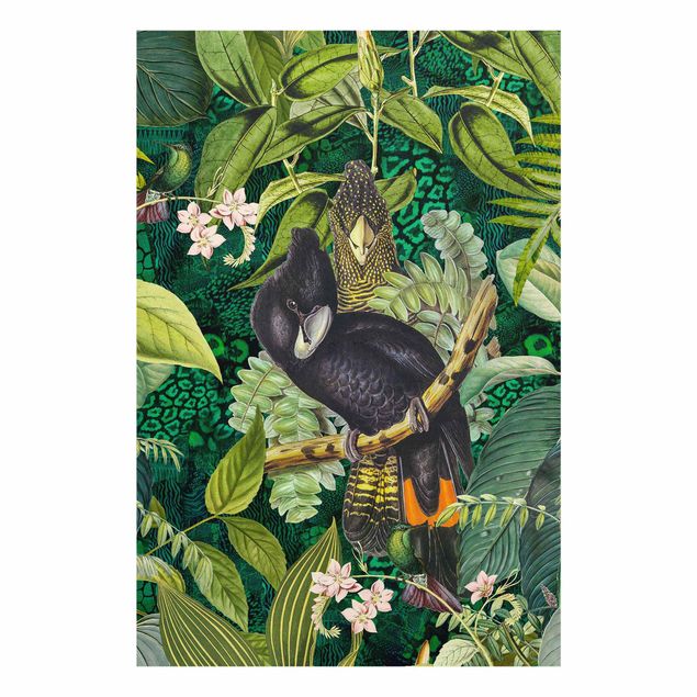 Zwierzęta obrazy Kolorowanka - Kakadu w dżungli